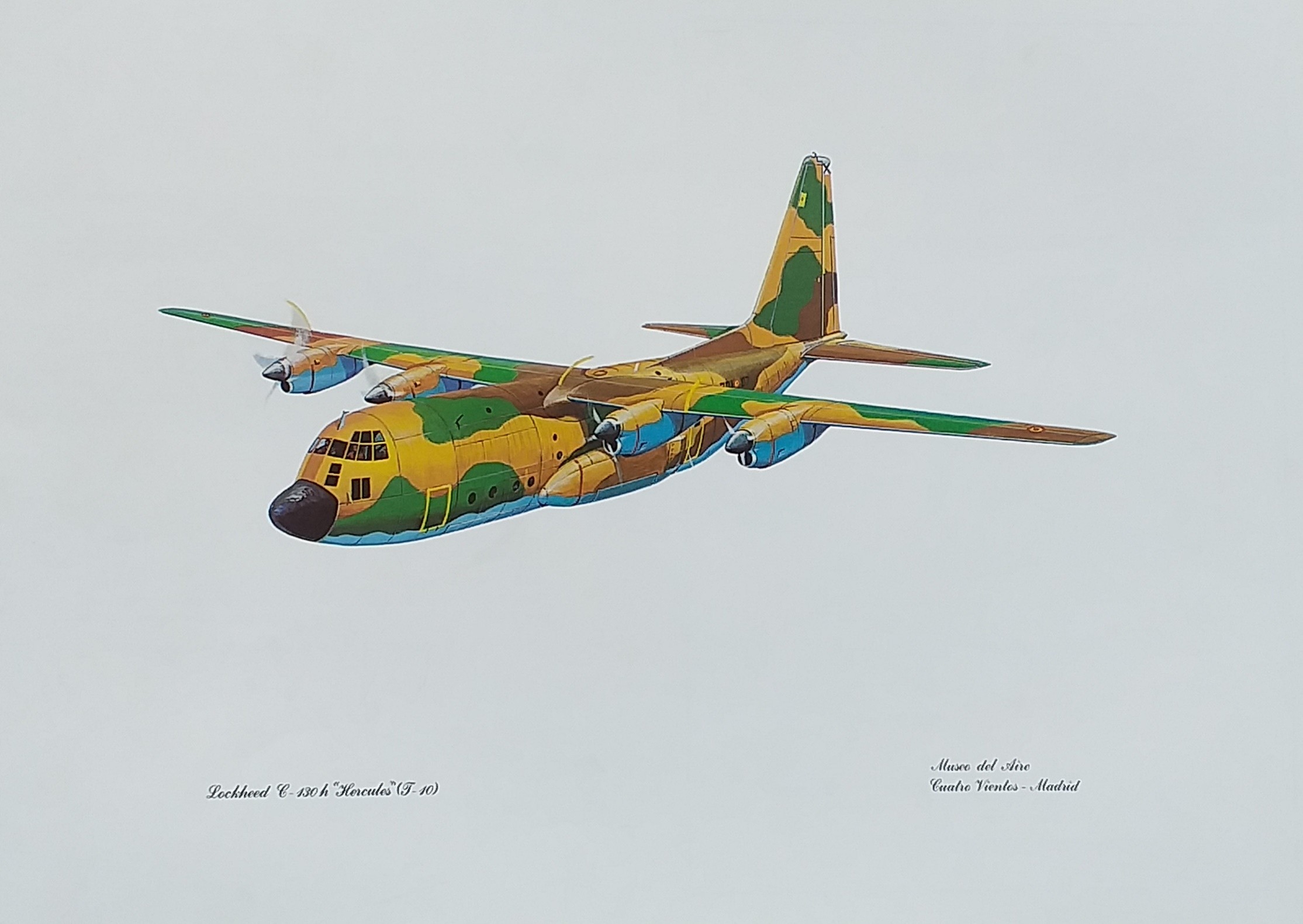 LOCKEED C-130 h "HERCULES" (T-10) AVIONES ACTUALES BUSQUEDA Y TRANSPORTE