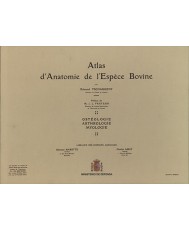 ATLAS D'ANATOMIE DE L'ESPÈCE BOVINE