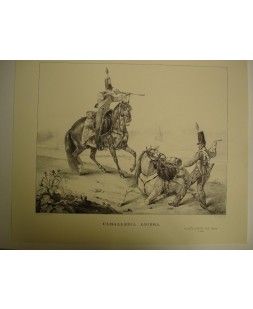 CABALLERIA LIGERA (1830), LAMINA